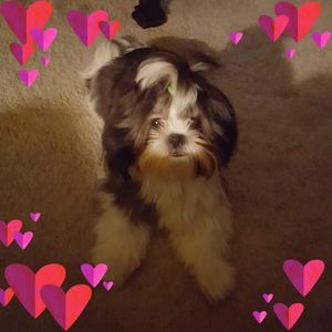 Meet your Posher, Barbara